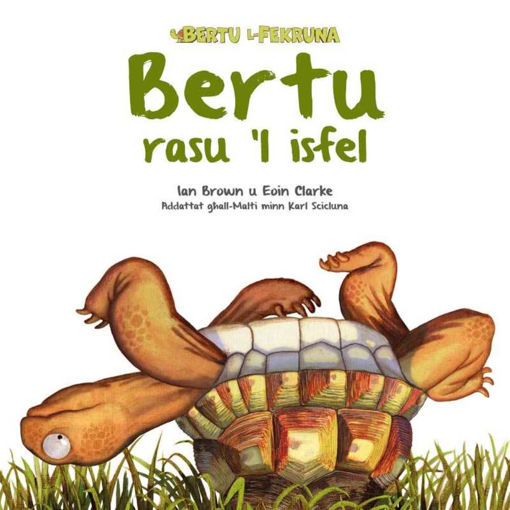Picture of BERTU RASU ‘L ISFEL